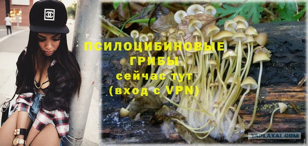 дурь Орск