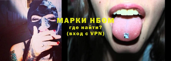шишки Братск