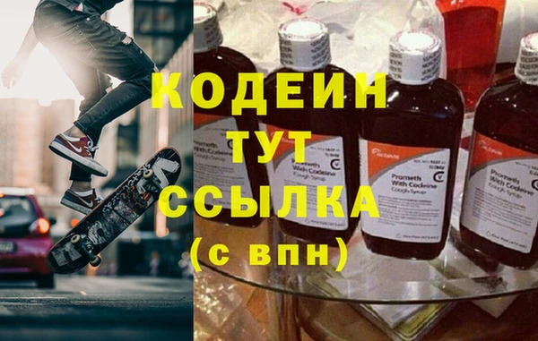шишки Братск