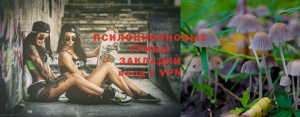 шишки Братск