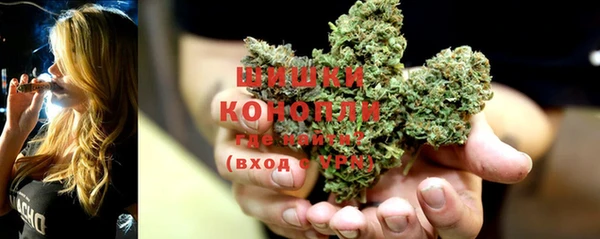 шишки Братск