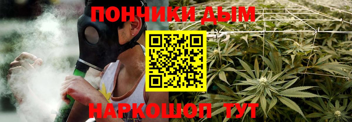 Бошки Шишки конопля  Конопля семена  Вход с VPN  Дивногорск 